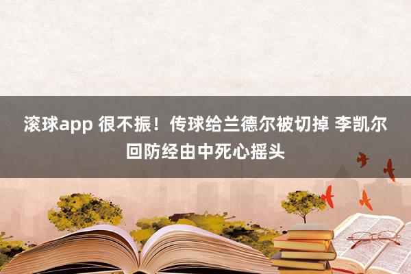 滚球app 很不振！传球给兰德尔被切掉 李凯尔回防经由中死心摇头