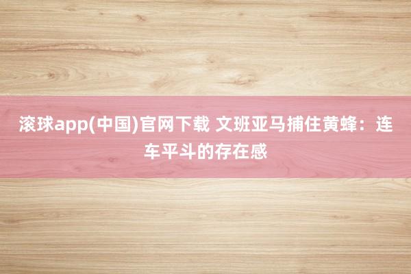 滚球app(中国)官网下载 文班亚马捕住黄蜂：连车平斗的存在感