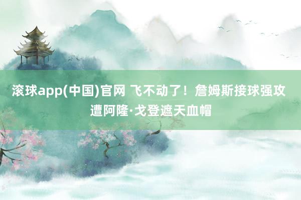 滚球app(中国)官网 飞不动了！詹姆斯接球强攻 遭阿隆·戈登遮天血帽