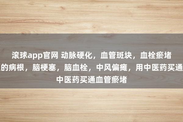 滚球app官网 动脉硬化，血管斑块，血栓瘀堵是高血压的病根，脑梗塞，脑血栓，中风偏瘫，用中医药买通血管瘀堵