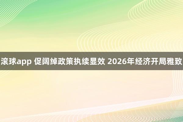 滚球app 促阔绰政策执续显效 2026年经济开局雅致