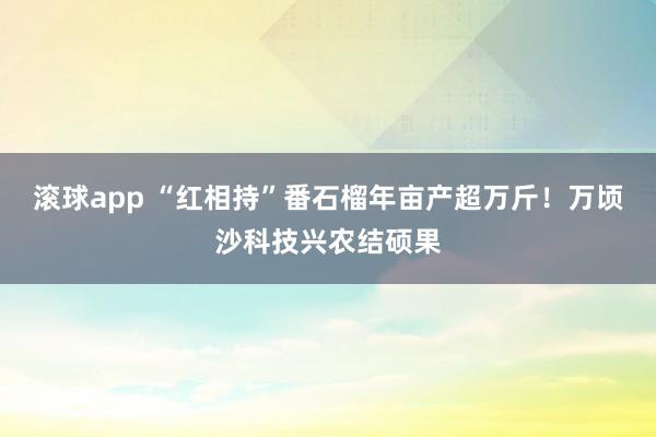 滚球app “红相持”番石榴年亩产超万斤！万顷沙科技兴农结硕果