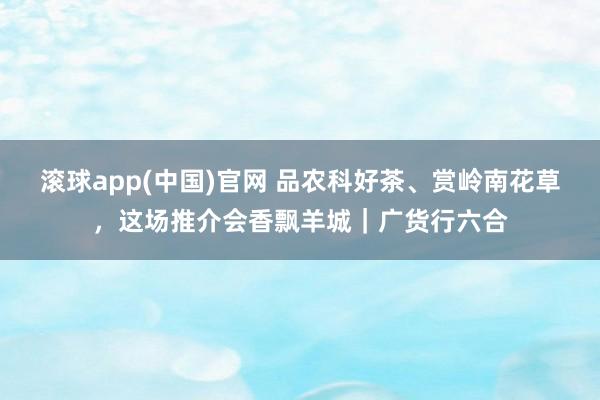 滚球app(中国)官网 品农科好茶、赏岭南花草，这场推介会香飘羊城｜广货行六合