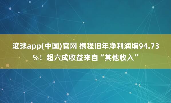 滚球app(中国)官网 携程旧年净利润增94.73%！超六成收益来自“其他收入”
