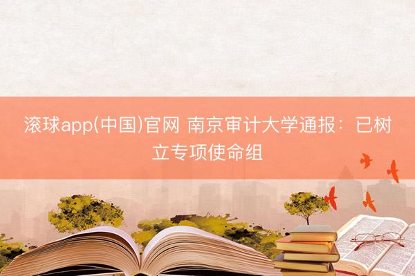滚球app(中国)官网 南京审计大学通报：已树立专项使命组
