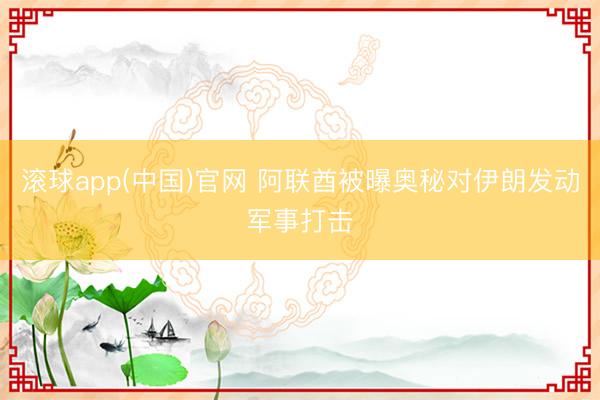 滚球app(中国)官网 阿联酋被曝奥秘对伊朗发动军事打击