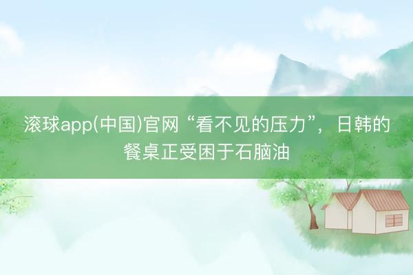 滚球app(中国)官网 “看不见的压力”，日韩的餐桌正受困于石脑油
