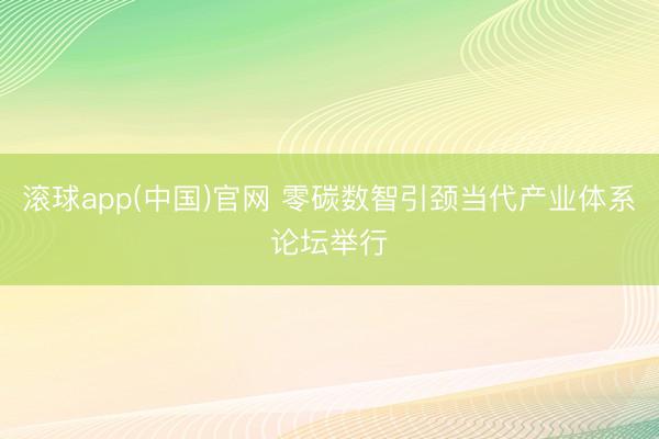 滚球app(中国)官网 零碳数智引颈当代产业体系论坛举行