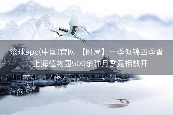 滚球app(中国)官网 【时局】一季似锦四季香：上海植物园500余种月季竞相敞开