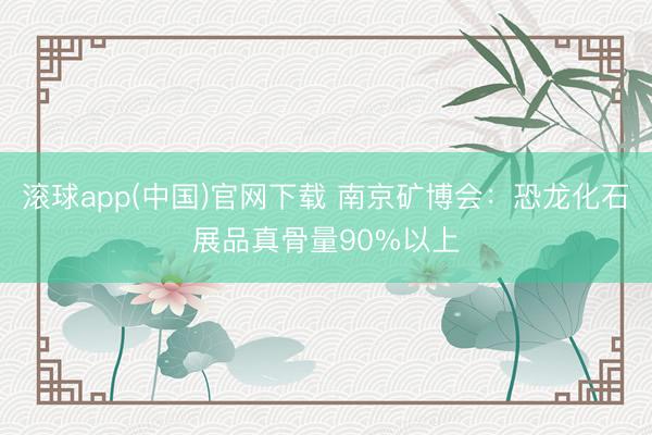 滚球app(中国)官网下载 南京矿博会：恐龙化石展品真骨量90%以上