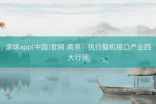 滚球app(中国)官网 南京：执行脑机接口产业四大行径