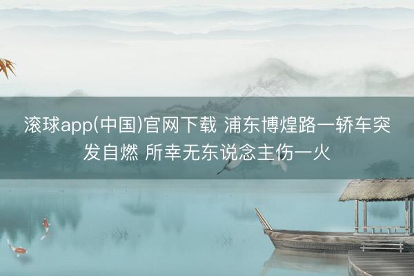 滚球app(中国)官网下载 浦东博煌路一轿车突发自燃 所幸无东说念主伤一火