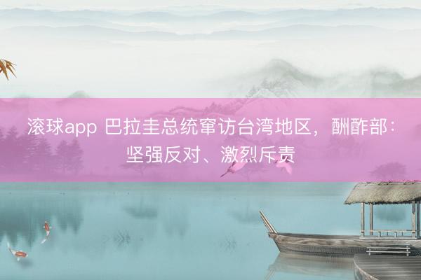 滚球app 巴拉圭总统窜访台湾地区，酬酢部：坚强反对、激烈斥责