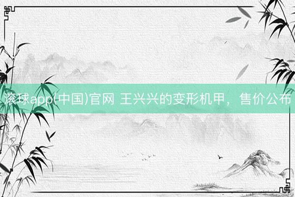 滚球app(中国)官网 王兴兴的变形机甲，售价公布