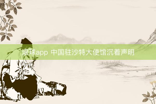 滚球app 中国驻沙特大使馆沉着声明