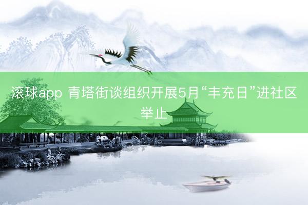 滚球app 青塔街谈组织开展5月“丰充日”进社区举止