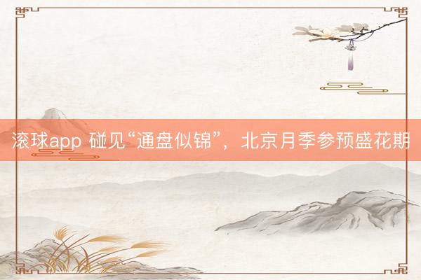 滚球app 碰见“通盘似锦”，<a href=