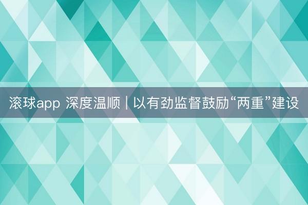 滚球app 深度温顺 | 以有劲监督鼓励“两重”建设