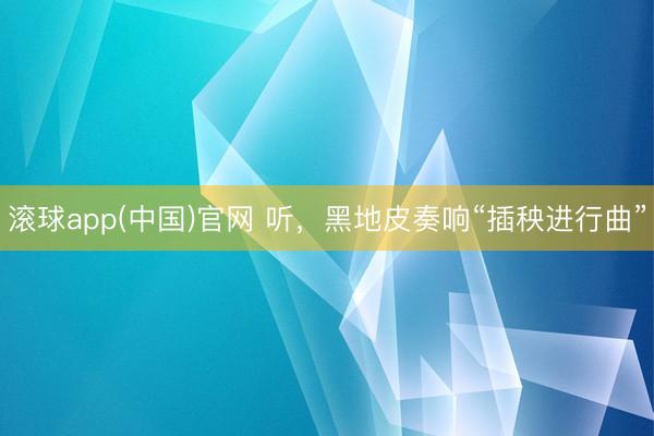 滚球app(中国)官网 听,黑地皮奏响“插秧进行曲”