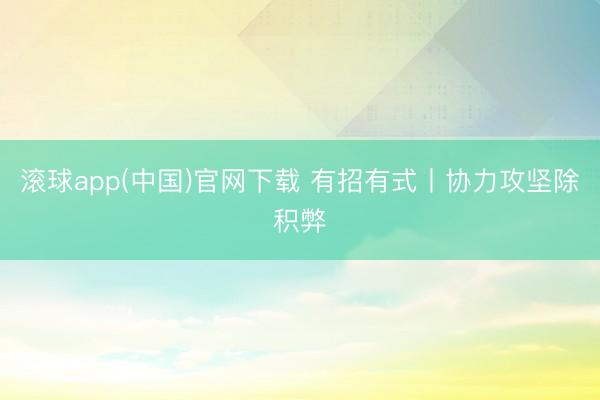 滚球app(中国)官网下载 有招有式丨协力攻坚除积弊