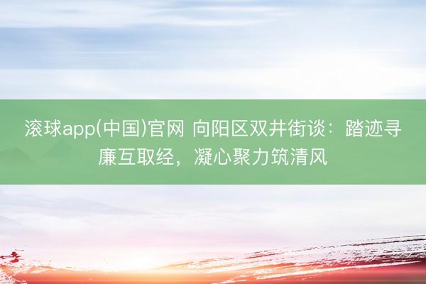 滚球app(中国)官网 向阳区双井街谈：踏迹寻廉互取经，凝心聚力筑清风