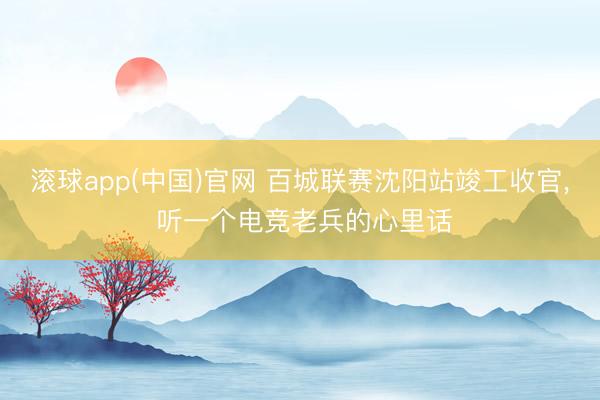 滚球app(中国)官网 百城联赛沈阳站竣工收官， 听一个电竞老兵的心里话
