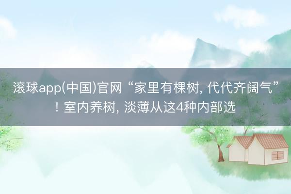 滚球app(中国)官网 “家里有棵树， 代代齐阔气”! 室内养树， 淡薄从这4种内部选
