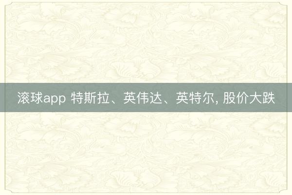 滚球app 特斯拉、英伟达、英特尔， 股价大跌