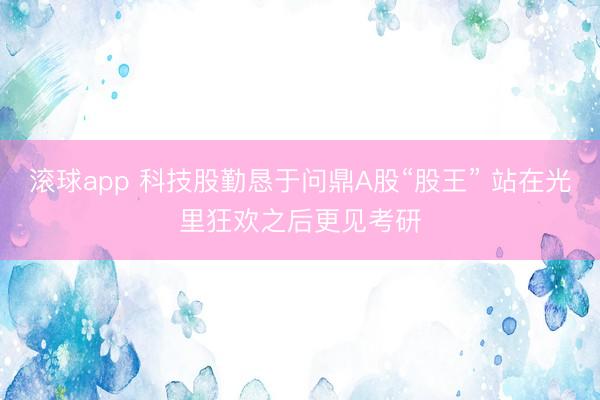 滚球app 科技股勤恳于问鼎A股“股王” 站在光里狂欢之后更见考研