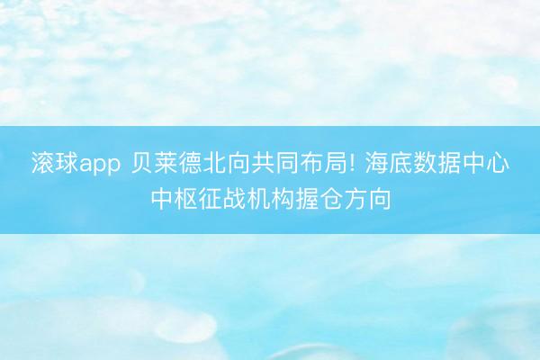 滚球app 贝莱德北向共同布局! 海底数据中心中枢征战机构握仓方向