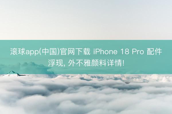 滚球app(中国)官网下载 iPhone 18 Pro 配件浮现， 外不雅颜料详情!