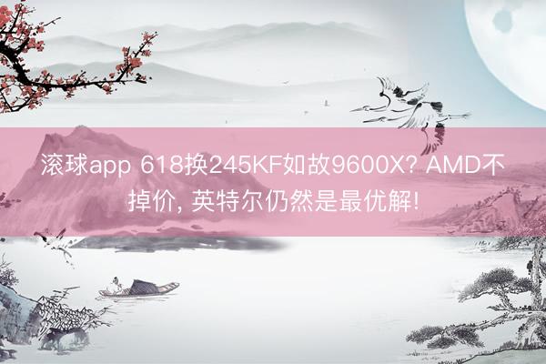 滚球app 618换245KF如故9600X? AMD不掉价， 英特尔仍然是最优解!