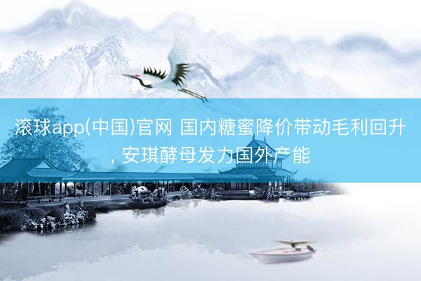滚球app(中国)官网 国内糖蜜降价带动毛利回升， 安琪酵母发力国外产能