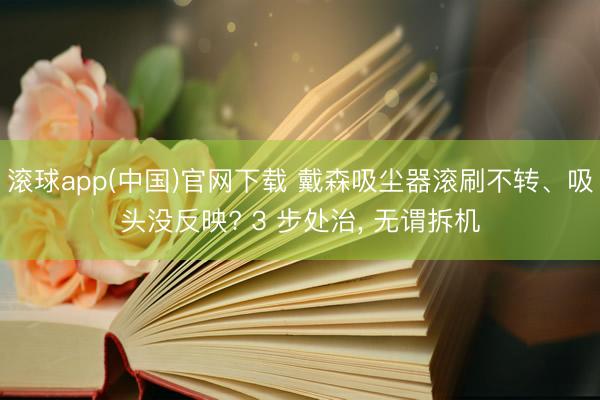 滚球app(中国)官网下载 戴森吸尘器滚刷不转、吸头没反映? 3 步处治， 无谓拆机