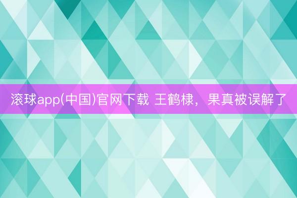 滚球app(中国)官网下载 王鹤棣，果真被误解了