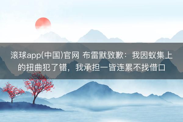 滚球app(中国)官网 布雷默致歉：我因蚁集上的扭曲犯了错，我承担一皆连累不找借口