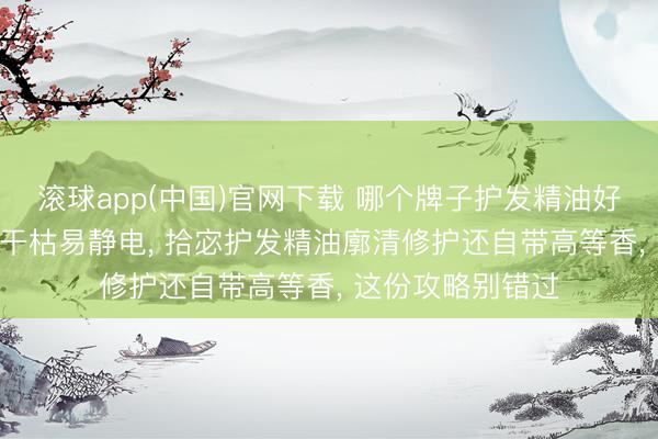 滚球app(中国)官网下载 哪个牌子护发精油好用? 如若你头