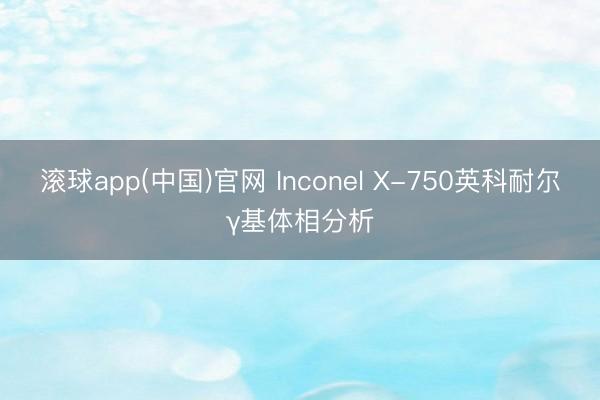滚球app(中国)官网 Inconel X-750英科耐尔γ基体相分析