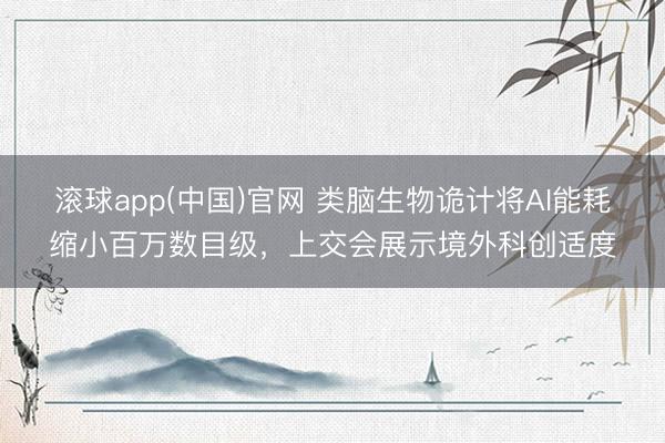 滚球app(中国)官网 类脑生物诡计将AI能耗缩小百万数目级，上交会展示境外科创适度