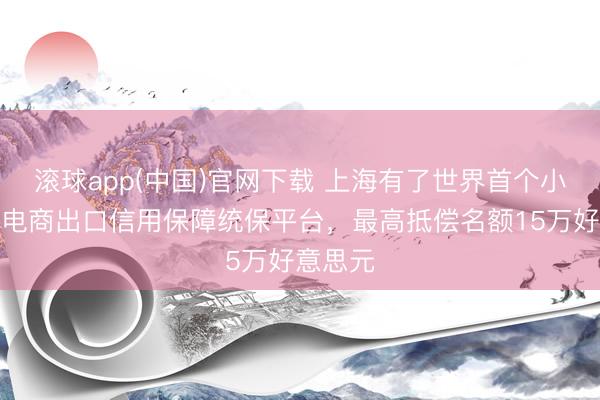 滚球app(中国)官网下载 上海有了世界首个小微跨境电商出口信用保障统保平台，最高抵偿名额15万好意思元