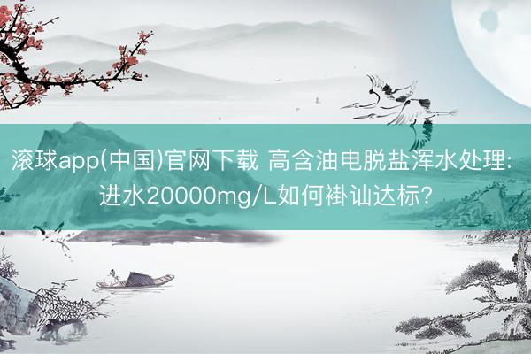 滚球app(中国)官网下载 高含油电脱盐浑水处理: 进水20000mg/L如何褂讪达标?