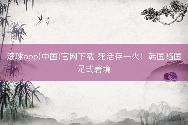滚球app(中国)官网下载 死活存一火！韩国陷国足式窘境