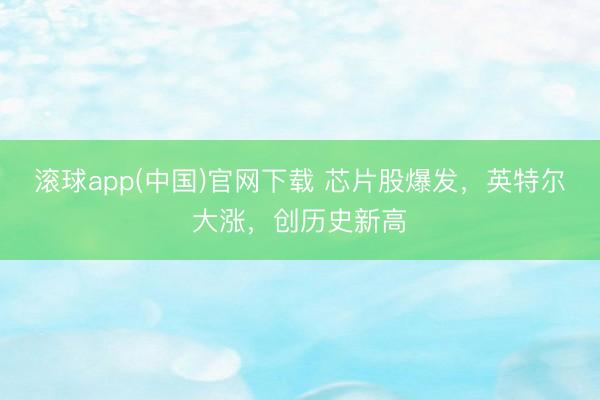 滚球app(中国)官网下载 芯片股爆发，英特尔大涨，创历史新高