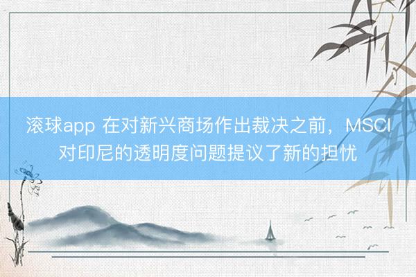 滚球app 在对新兴商场作出裁决之前,MSCI对印尼的透明度问题提议了新的担忧